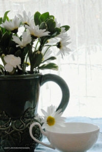 Tea cup and daisies...